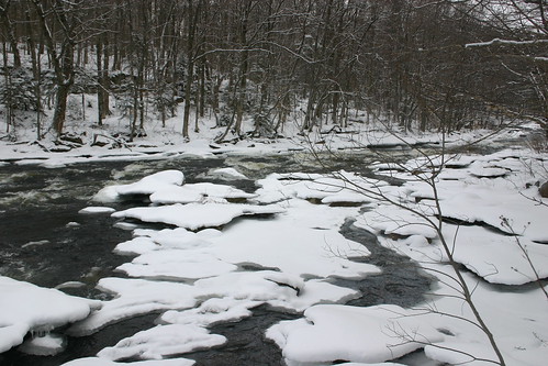 old lake snow river nelson moose adirondacks forge