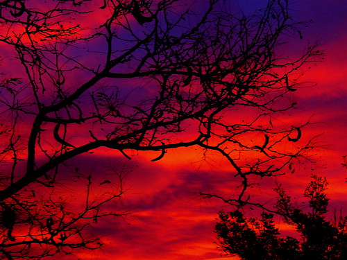trees sky color clouds sunrise colorado denver digitallyaltered