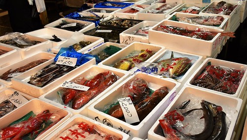 436 Tsukiji, Mercado de pescado en Tokio (25)