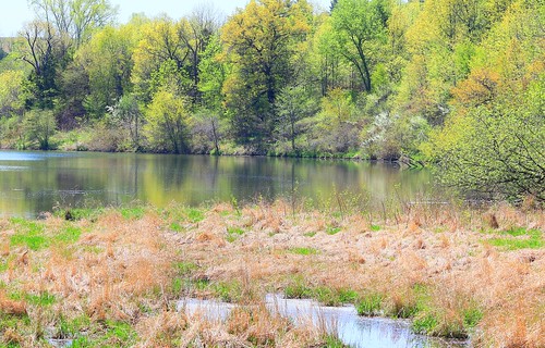 landscape lake meyer park winneshiek county iowa larry reis