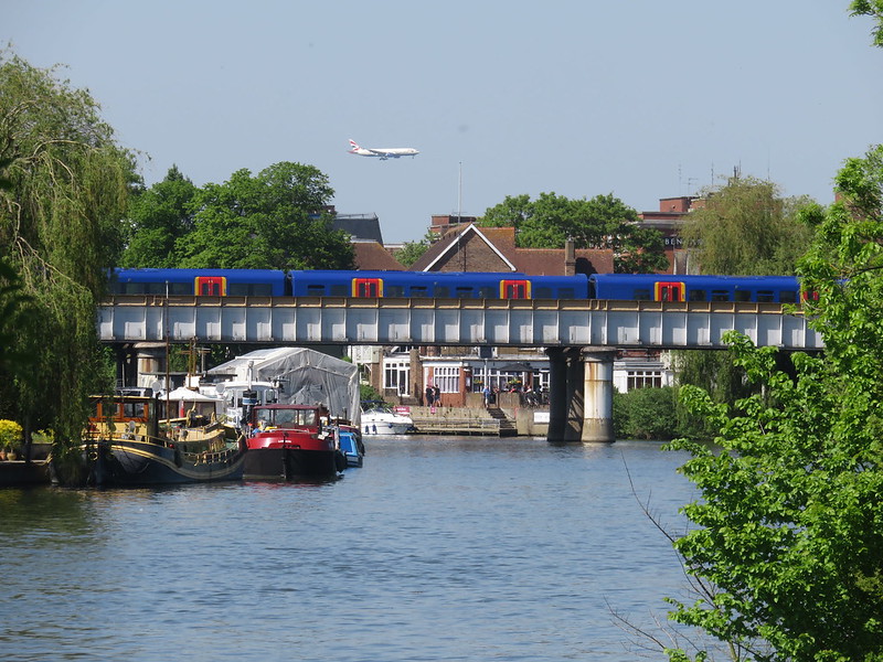 Thames Path - Weybridge to Windsor