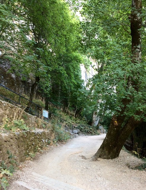 Trail to Grotto of Marie Madelieine. From Author Shares Travel and Historical Research for Her New Novel, Discovery