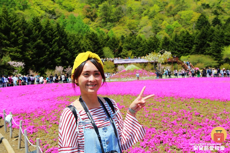《日本。東京自由行》 富士山芝櫻祭 迷人的粉紅浪漫花毯 交通指南&門票