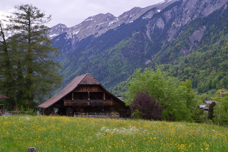 Escapada en familia a Ginebra (4 dias) - Blogs de Suiza - Etapa 3. Harder Kulm (Interlaken) (11)