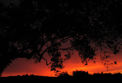 españa sunrise dawn spain searchthebest olivetree