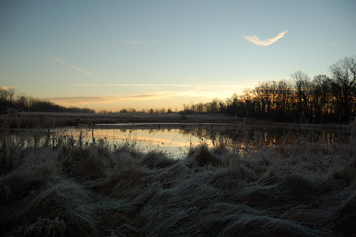morning sky cold water sunrise d50 pond nikon frost 1855mm wwwfullspectrumimagescom